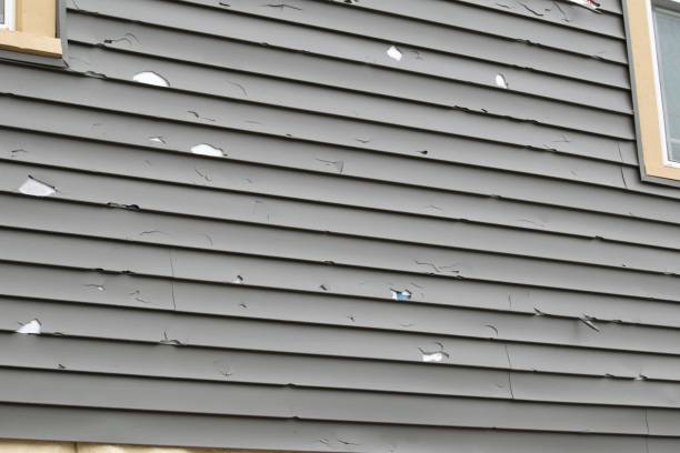 Best Custom Siding Design  in Tuolumne City, CA